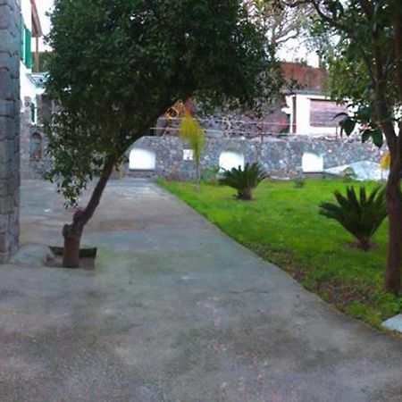 B&B Carpe Diem Domus Искья Экстерьер фото